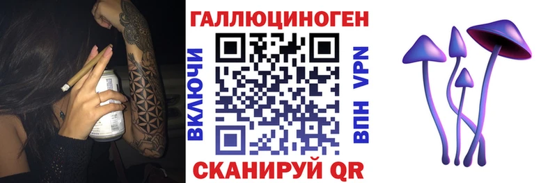 закладка  Наволоки  Псилоцибиновые грибы Psilocybine cubensis 